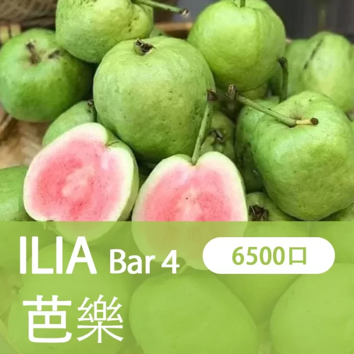 20250308074252 67cbf4fc86b3a